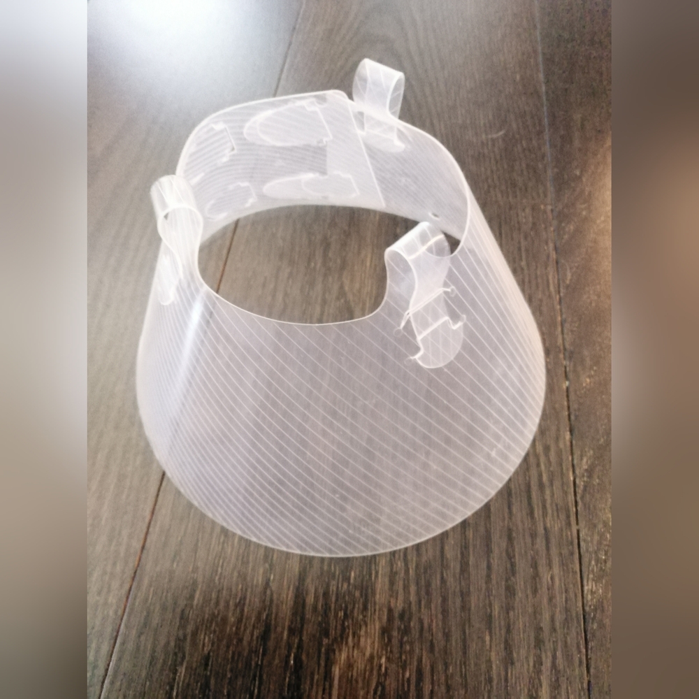 Clear Pet Recovery Cone